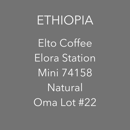 OMA - Elto Elora, Mini 74158 Natural | Ethiopia - Sigma Coffee UK