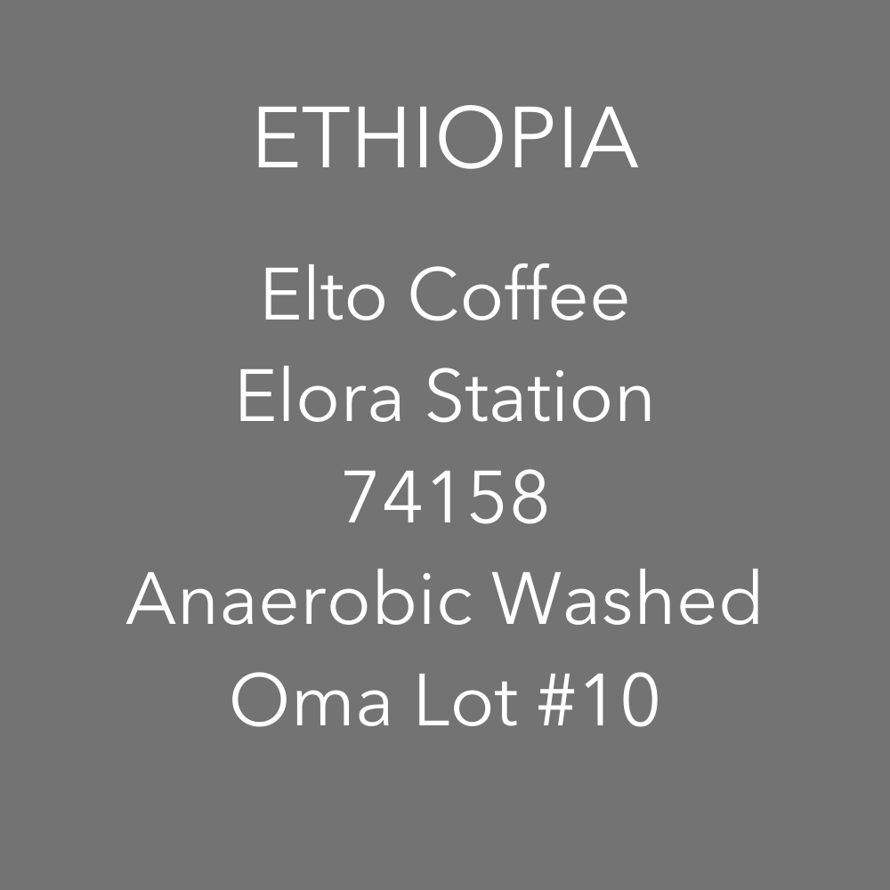 OMA - Elto Elora,  74158 Anaerobic Washed | Ethiopia