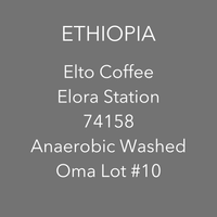 OMA - Elto Elora,  74158 Anaerobic Washed | Ethiopia