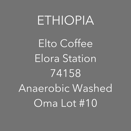 OMA - Elto Elora,  74158 Anaerobic Washed | Ethiopia - Sigma Coffee UK