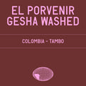 Datura | El Porvenir Gesha Washed (200g) - Sigma Coffee UK