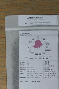 Goût & Co - Kenya Kamavindi-Gatura Station, SL28 & SL34 Slow Dry Natural (2026 New Crop)