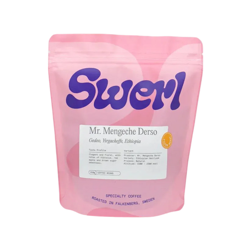 Swerl - Mr. Mengeche Derso | Ethiopia