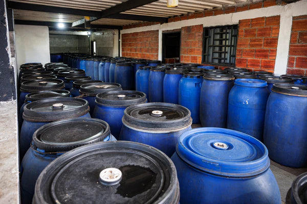 Hydrangea - Mora Azul Washed Purple Caturra, Monteblanco