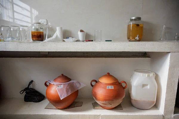 Hydrangea - Mora Azul Washed Purple Caturra, Monteblanco