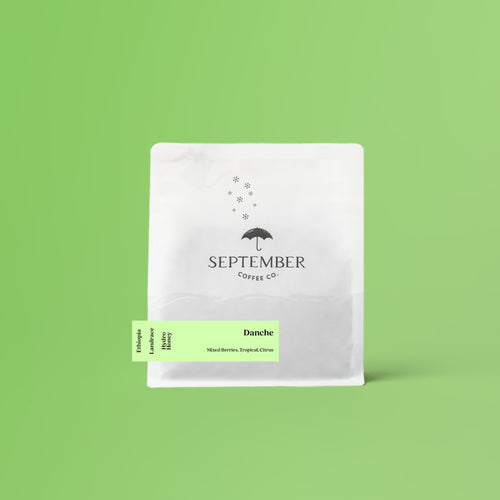 September Coffee Co. - Danche Hydro Honey | Ethiopia