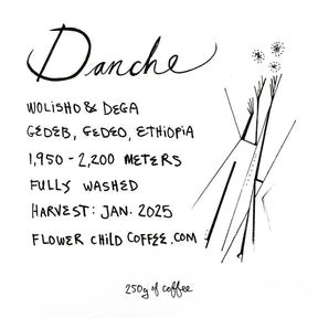 Coffee label for Danche from Gedeb, Gedeo, Ethiopia, featuring Wolisho and Dega varieties, 1,950–2,200 meters altitude, fully washed process, January 2025 harvest, Flower Child Coffee, with minimalist line-art illustration.