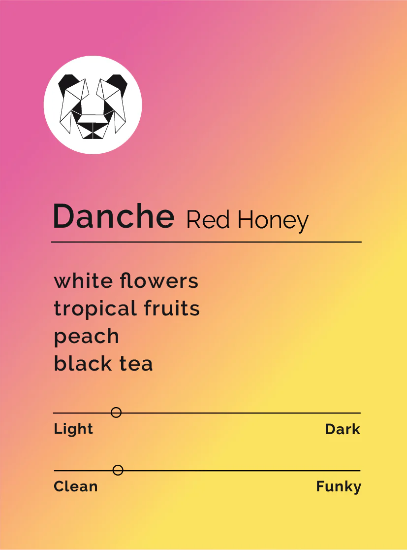 Black & White - Danche - Red Honey Landrace | Ethiopia