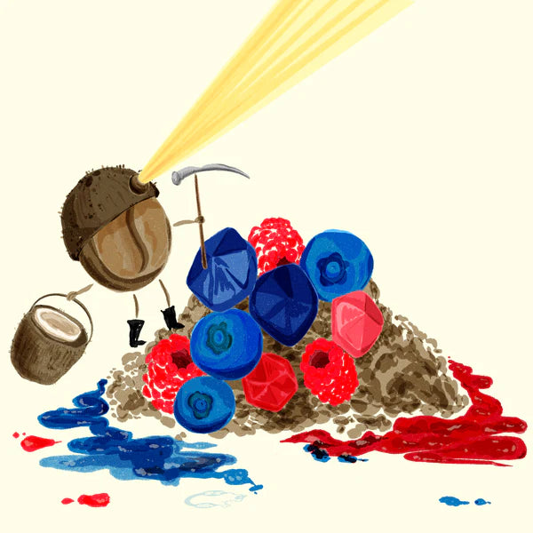 Hydrangea - Mora Azul Washed Purple Caturra, Monteblanco