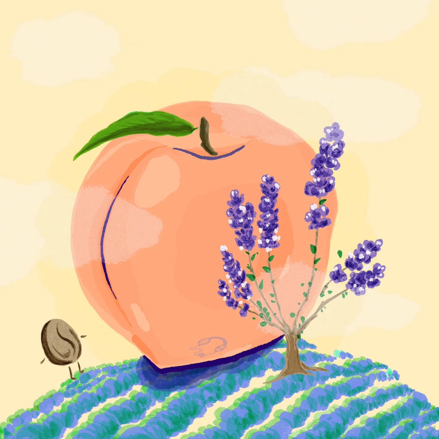 Hydrangea - Peach Co-Ferment, Washed Castillo - Santa Monica