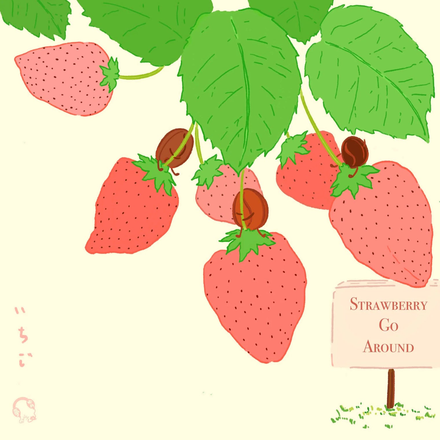 Hydrangea - Catiope Strawberry Natural - El Mirador