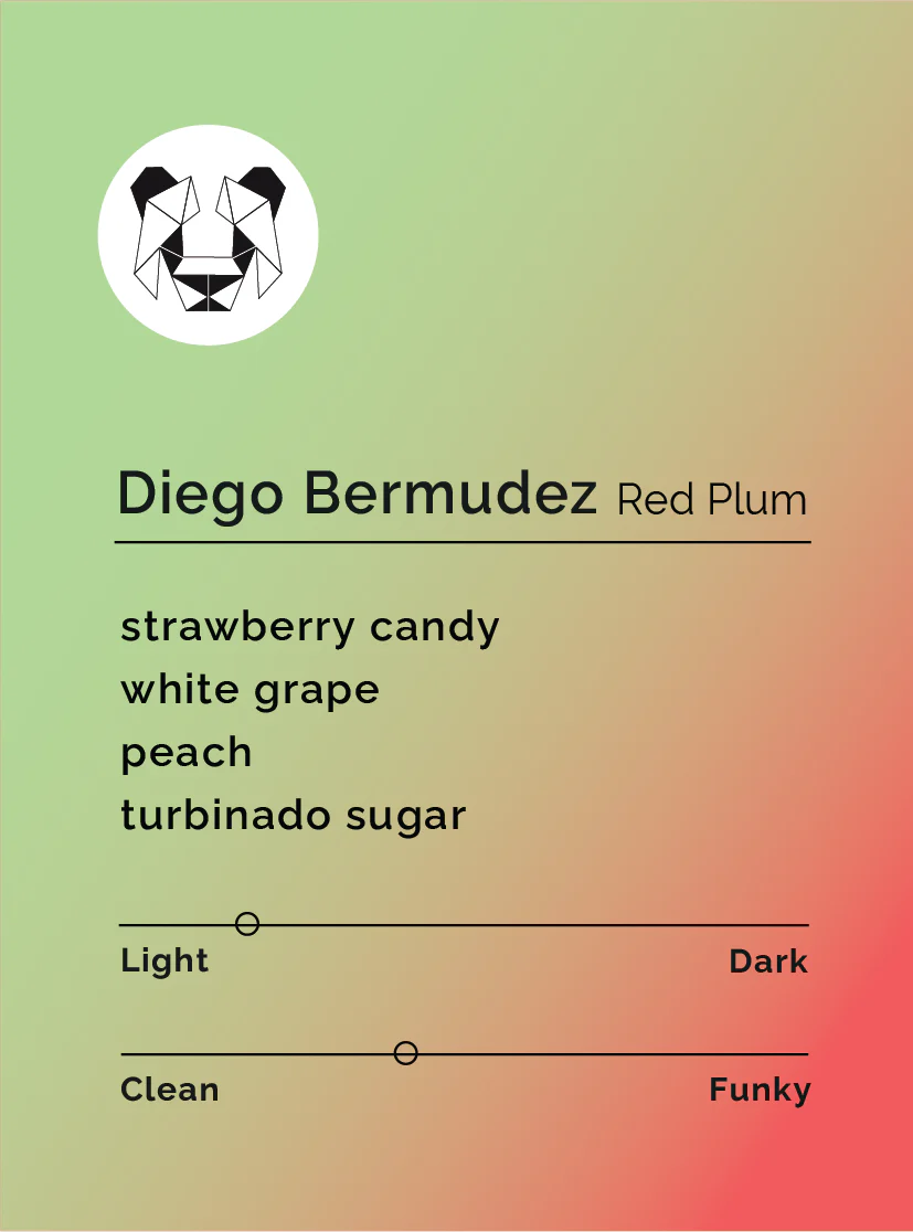 Black & White - Diego Bermudez - Red Plum | Colombia