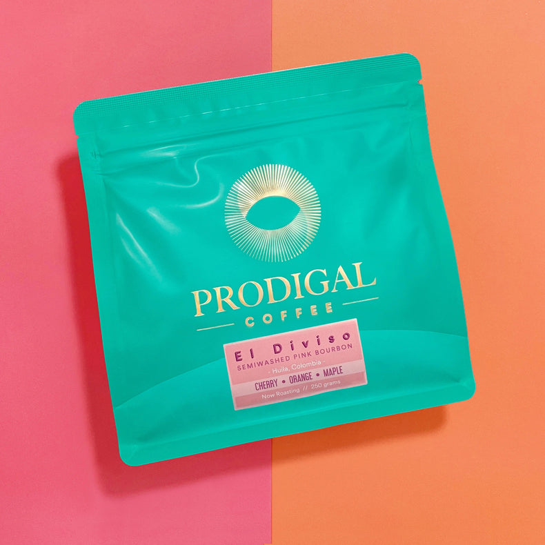 Prodigal Coffee - Finca El Diviso, Anaerobic - Filter | Colombia