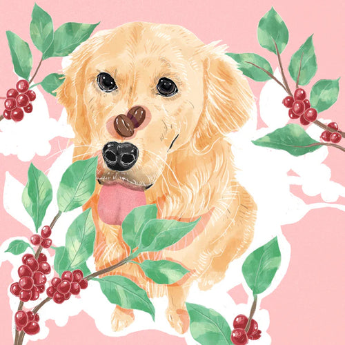 Hydrangea - Gesha Natural 793 NNF Finca Nuguo