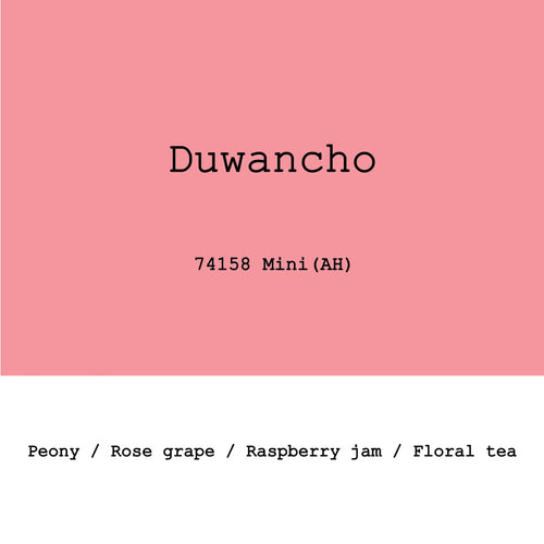 Goût & Co - 2026 New Crop Ethiopia Duwancho 74158 Mini Anaerobic Honey