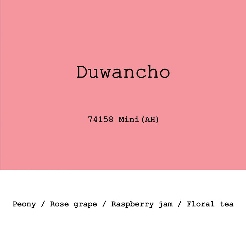 Goût & Co - 2026 New Crop Ethiopia Duwancho 74158 Mini Anaerobic Honey