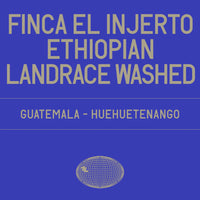 Datura | Finca El Injerto - Washed Ethiopian Landrace (200g)