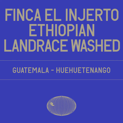 Datura | Finca El Injerto - Washed Ethiopian Landrace (200g)