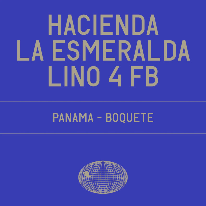 Datura Coffee - Hacienda La Esmeralda - Lino 4 FB Gesha Washed