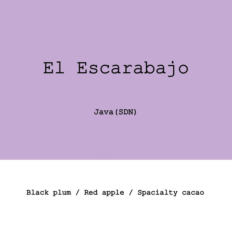 Goût & Co - El Escarabajo Java 120h Slow Dry Natural | Colombia