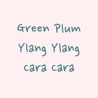 Hydrangea - Gesha Washed - Finca El Morito