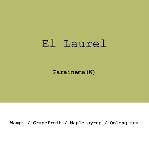 Goût & Co - Honduras - El Laurel, Parainema Washed