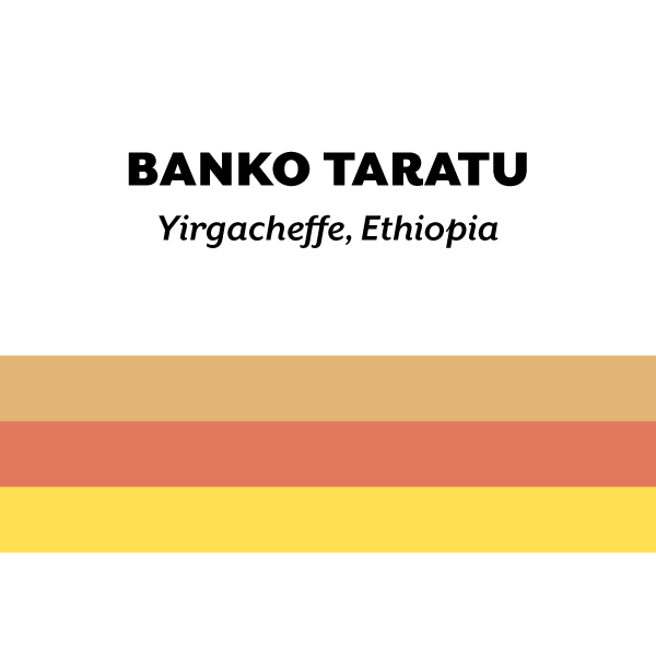 H&S Roasters - Banko Taratu, Double Ferment Washed | Ethiopia