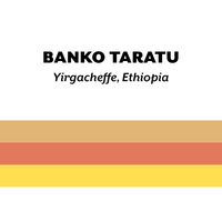 H&S Roasters - Banko Taratu, Double Ferment Washed | Ethiopia