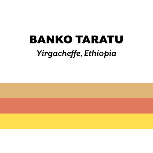 H&S Roasters - Banko Taratu, Double Ferment Washed | Ethiopia