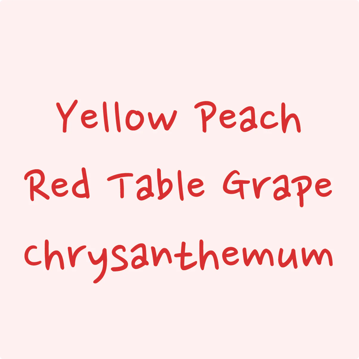 Hydrangea - Gesha Washed DRD - El Burro Lot 16 | Panama