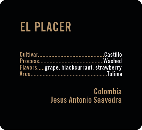 Apollon's Gold - El Placer - Washed Castillo | Colombia