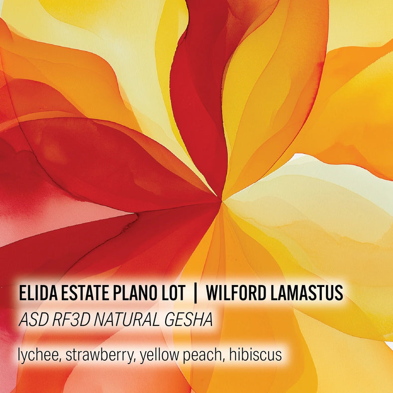 Moonwake Coffee Roasters - Elida Estate Plano Lot - Wilford Lamastus - ASD RF3D Natural Gesha | Panama