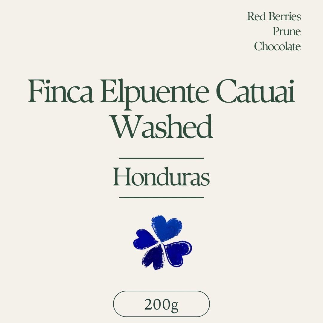 Klover - Finca El Puente Washed Catuai | Honduras