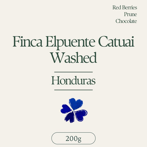 Klover - Finca El Puente Washed Catuai | Honduras