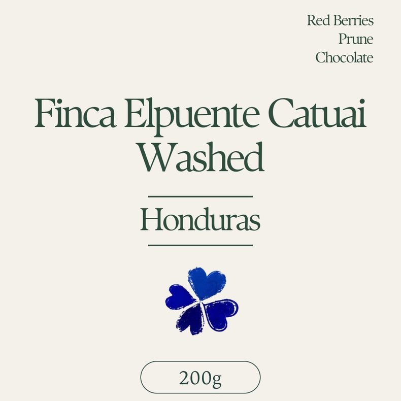Klover - Finca El Puente Washed Catuai | Honduras