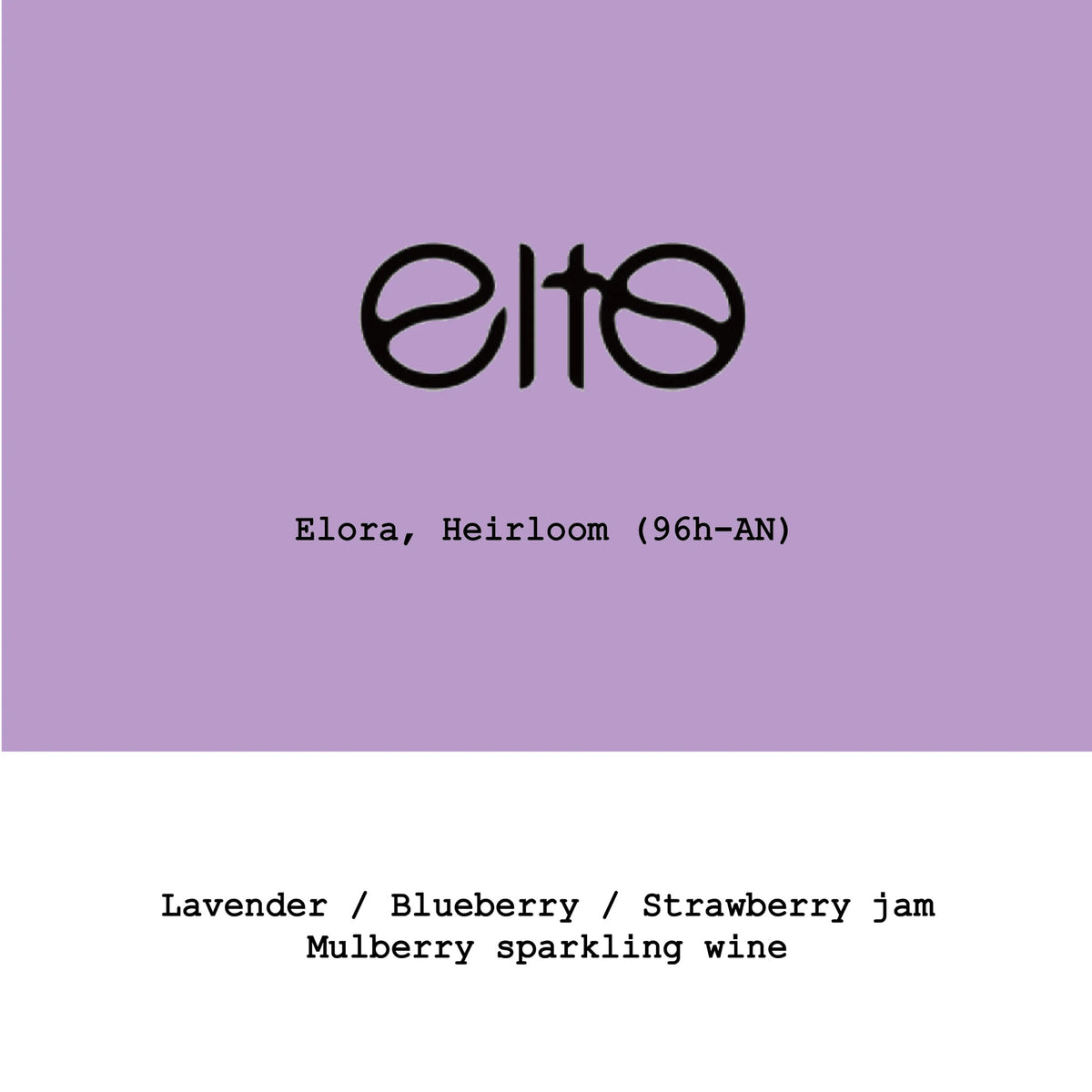 Goût & Co - Elto Coffee-Elora Heirloom 96h Anaerobic Natural | Ethiopia