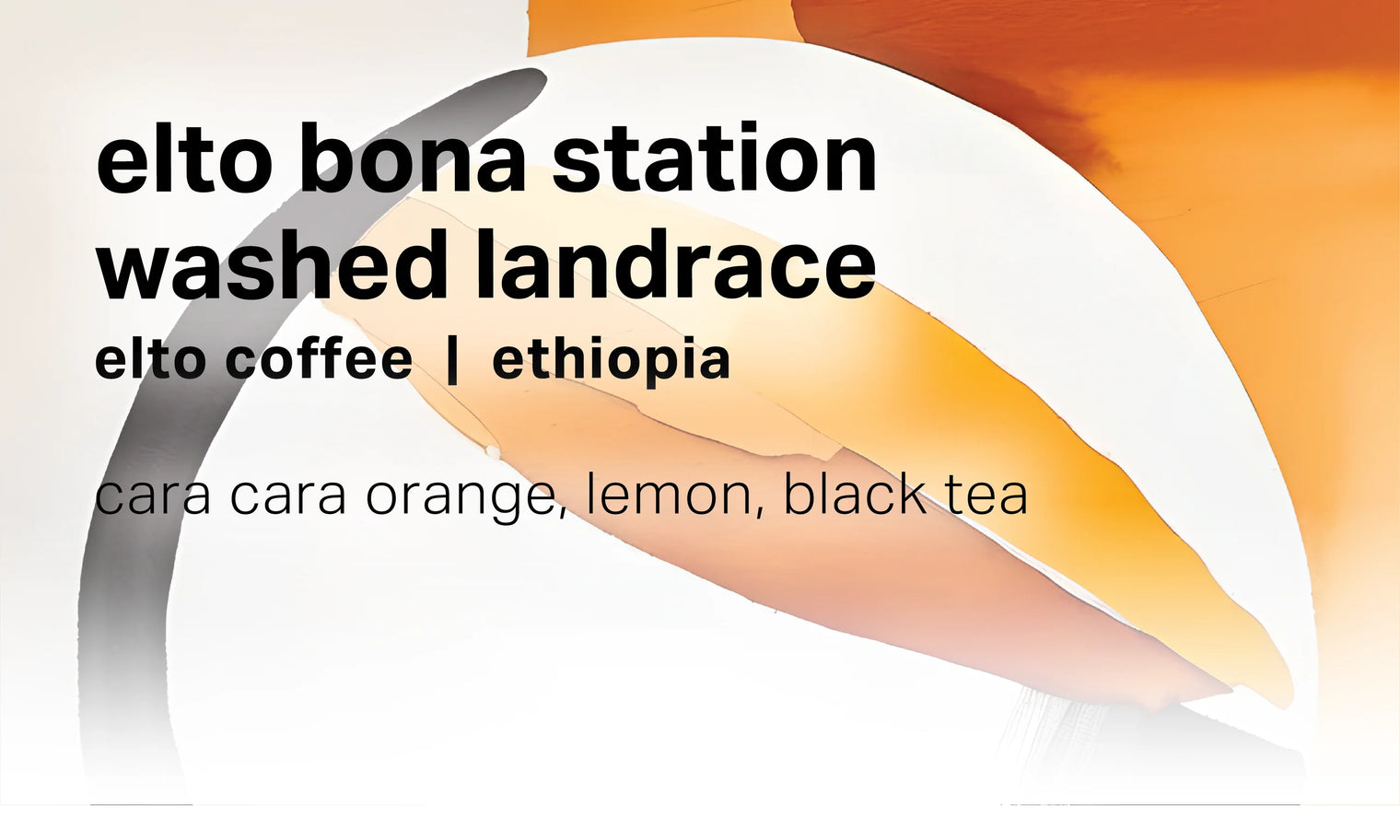 Moonwake - Elto Coffee Bona Station - Washed Landrace