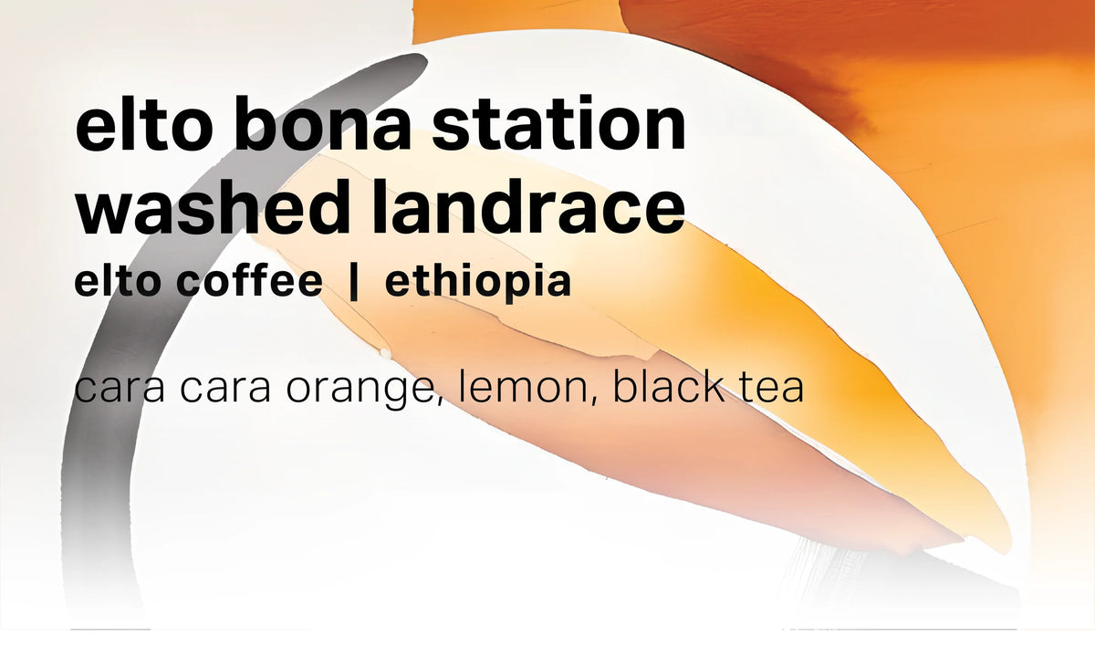 Moonwake - Elto Coffee Bona Station - Washed Landrace - Sigma Coffee UK