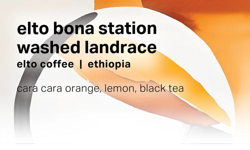 Moonwake - Elto Coffee Bona Station - Washed Landrace