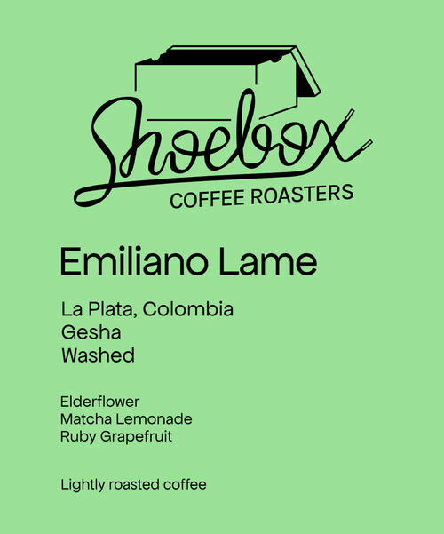 Shoebox - Emiliano Lame Gesha Washed, Copa De Oro #2 | Colombia