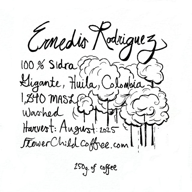 Flower Child - Ernedis Rodriguez - Sidra - Sigma Coffee UK