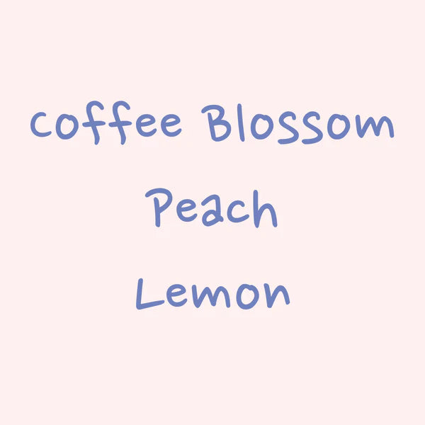 Hydrangea - Hacienda La Esmeralda, Washed Gesha Cabaña Abajo 5FB | Panama