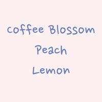 Hydrangea - Hacienda La Esmeralda, Washed Gesha Cabaña Abajo 5FB | Panama