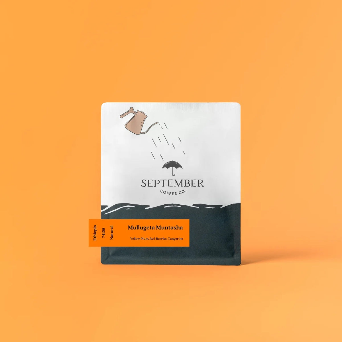 September Coffee Co. - Mullugeta Muntasha Natural 74158 | Ethiopia