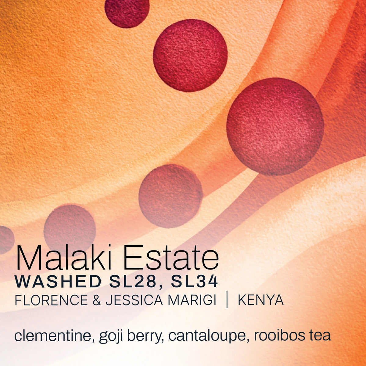 Moonwake Coffee Roasters - Malaki Estate - Florence and Jessica Marigi Washed SL28 & SL34 | Kenya