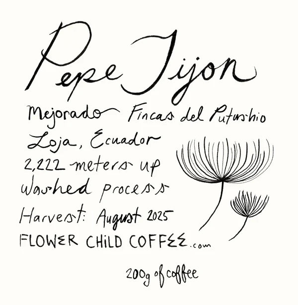 Flower Child - Pepe Jijon Mejorado
