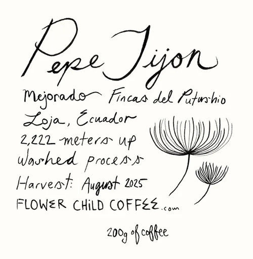 Flower Child - Pepe Jijon Mejorado