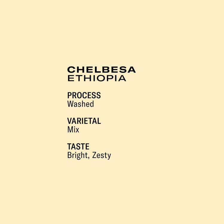 Frukt - Chelbesa Washed Field Blend | Ethiopia