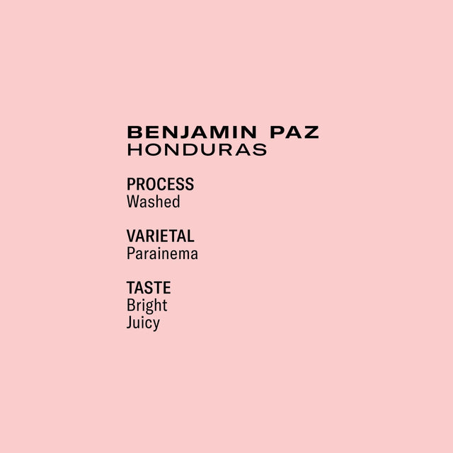 Frukt - Benjamin Paz Washed Parainema | Honduras