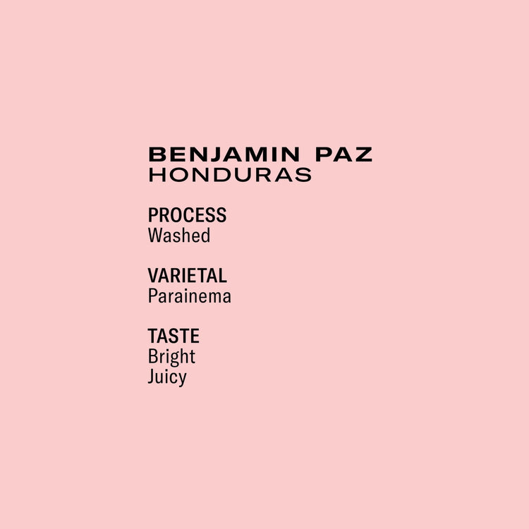 Frukt - Benjamin Paz Washed Parainema | Honduras